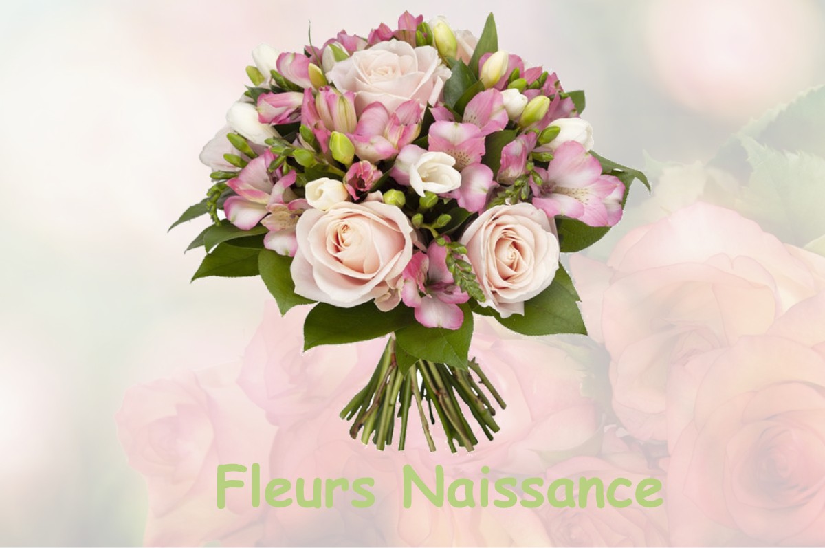 fleurs naissance BEYRIES