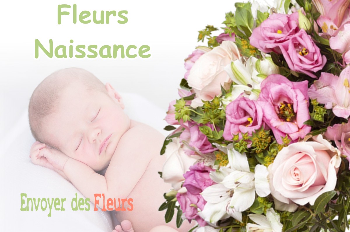 lIVRAISON FLEURS NAISSANCE à BEYRIES