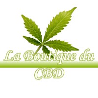 LA BOUTIQUE DU CBD BEYRIES 